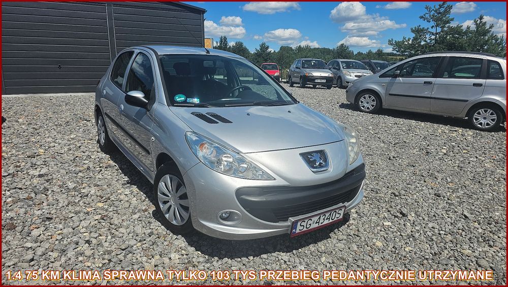 Peugeot 206 2010