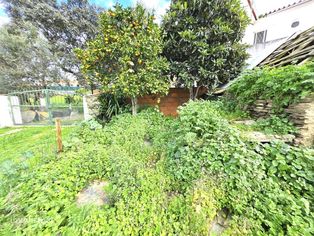 Moradia T2 com 5500 m2 de Terreno - Grande imagem: 2/21