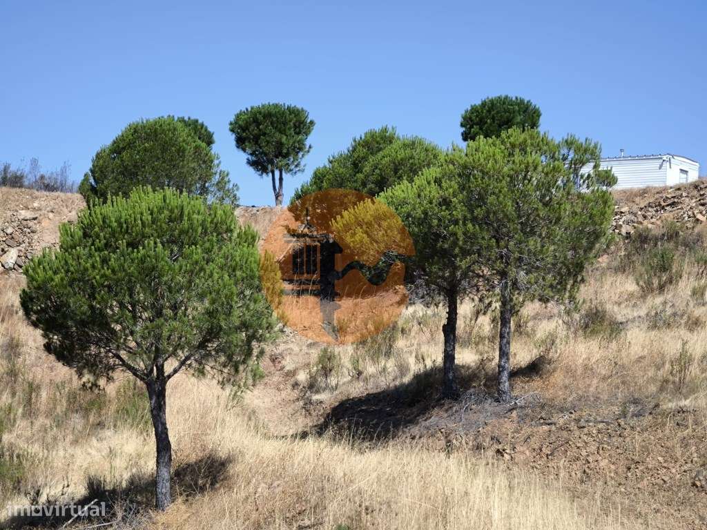 TERRENO RUSTICO COM ÁGUA - ESTRUTURA AMOVÍVEL - CORTE DO GAGO - CAS... - Grande imagem: 5/38