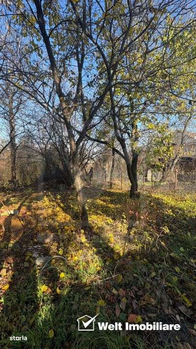 Casa de inchiriat tip atelier/service auto - Imagine principală: 5/11