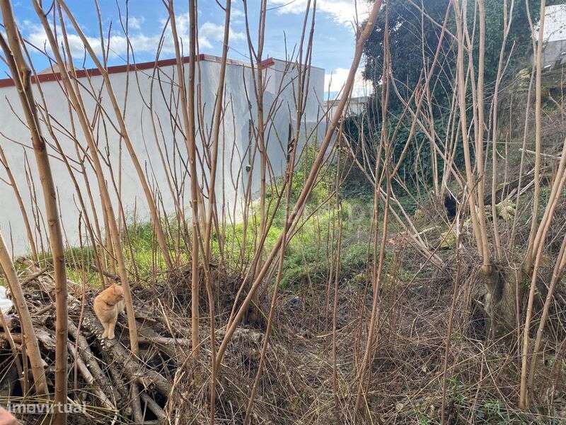 Lote / Covilhã, Covilhã - Grande imagem: 3/5