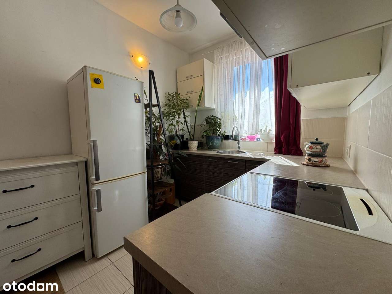 Ustawna kawalerka w Ząbkach ul.Temajera-3