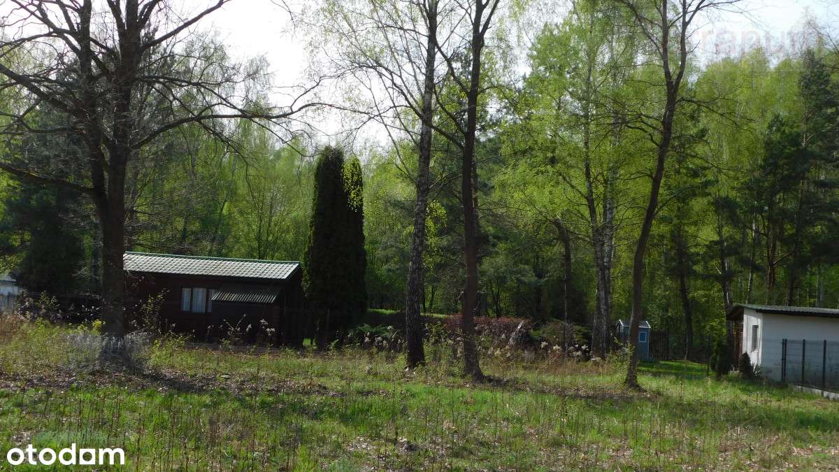 działka budowlana blisko Piaseczna - Pełny obrazek: 4/11