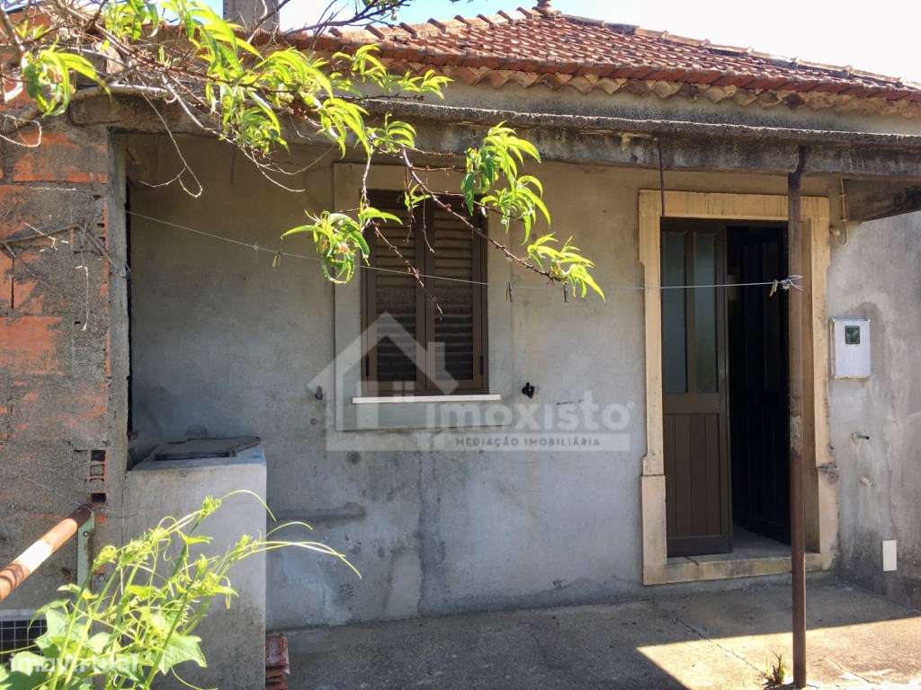 Casa de Campo T3 em Arega, Figueiró dos Vinhos-14