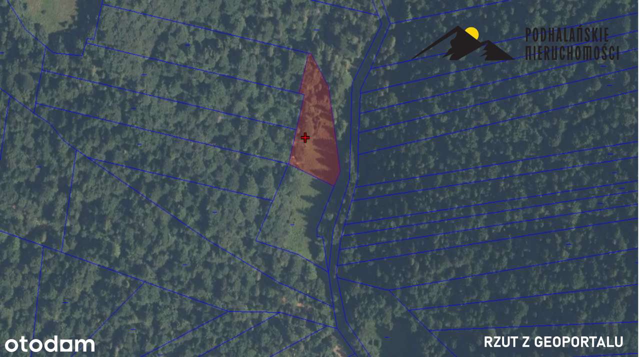 Polana w Gorcach w spokojnej okolicy-8