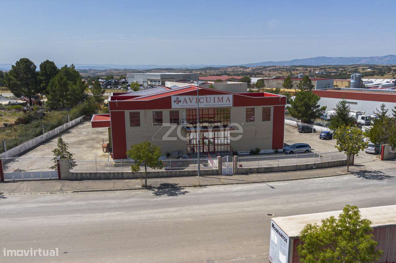 Oportunidade de Investimento, em Mogadouro - Grande imagem: 5/60