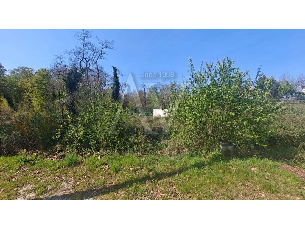 Terreno para construção - S. SALVADOR - VISEU |LEILÃO ELETRÓNICO| F... - Grande imagem: 4/7