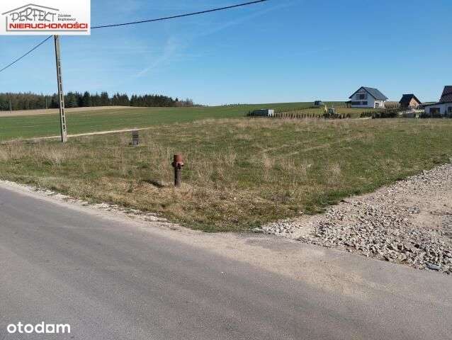 Działki blisko lasu i jeziora. - Pełny obrazek: 1/9