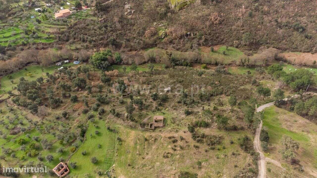 Quinta T1 / Fundão, Vale Prazeres - Grande imagem: 4/16