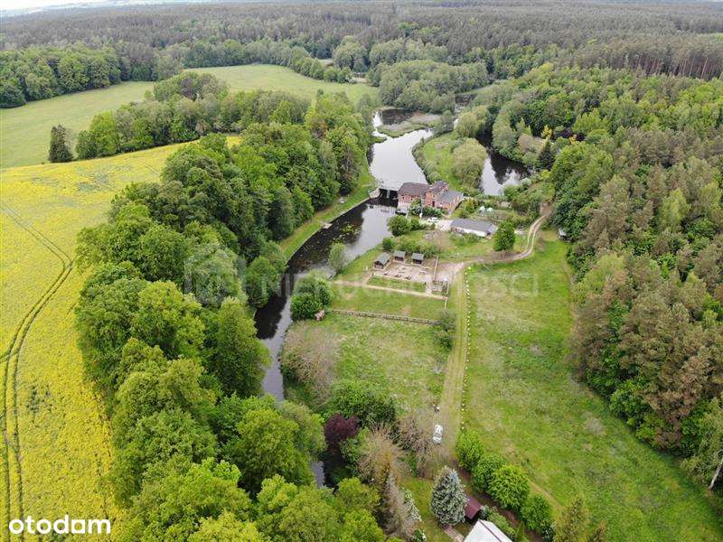 Czarnocin - działka w zakolu rzeki Wierzyca - Pełny obrazek: 5/17