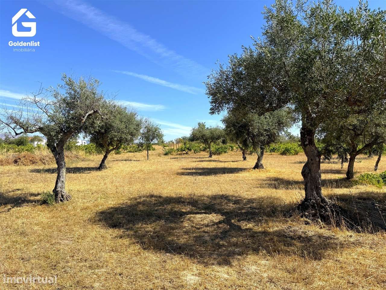 Quinta  Venda em Lardosa,Castelo Branco-38