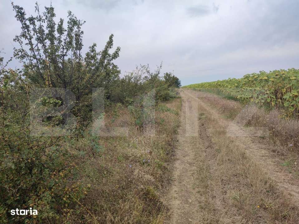 Teren 6291 mp, extravilan, zona Leamna de jos - Imagine principală: 3/4