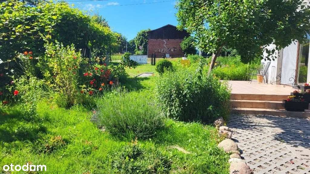 Wyjątkowe siedlisko z potencjałem. - Pełny obrazek: 4/10