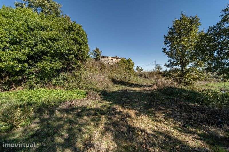 Herdade T6 / Covilhã, Boidobra-8