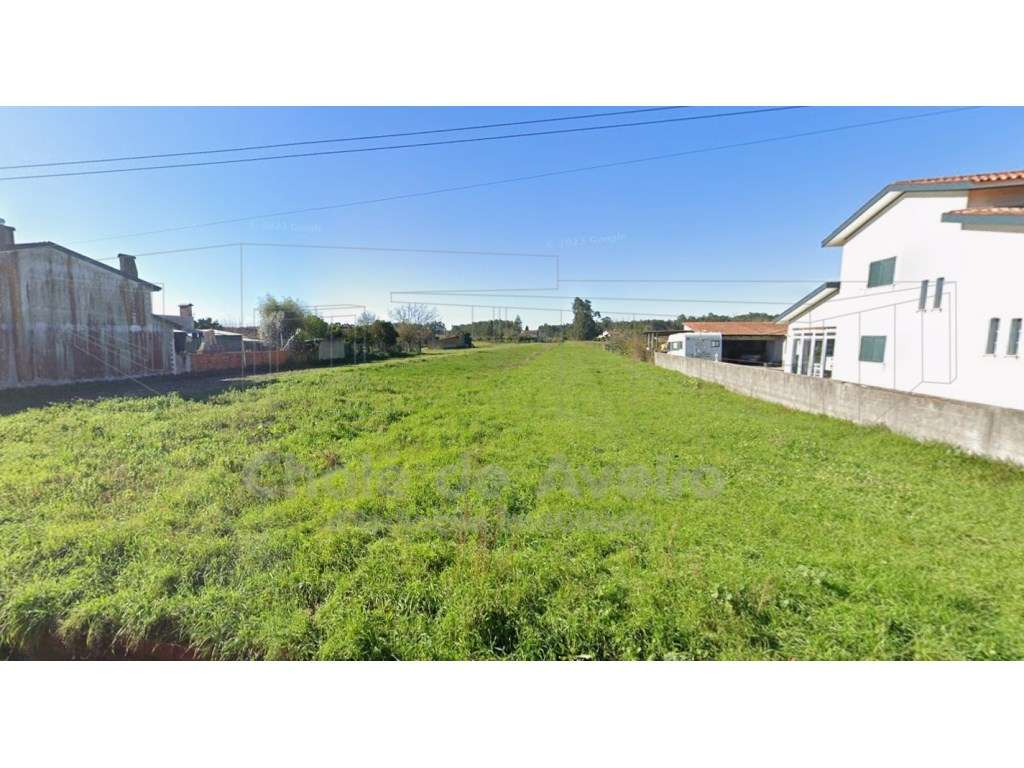 Terreno para construção em Oiã - Grande imagem: 3/5