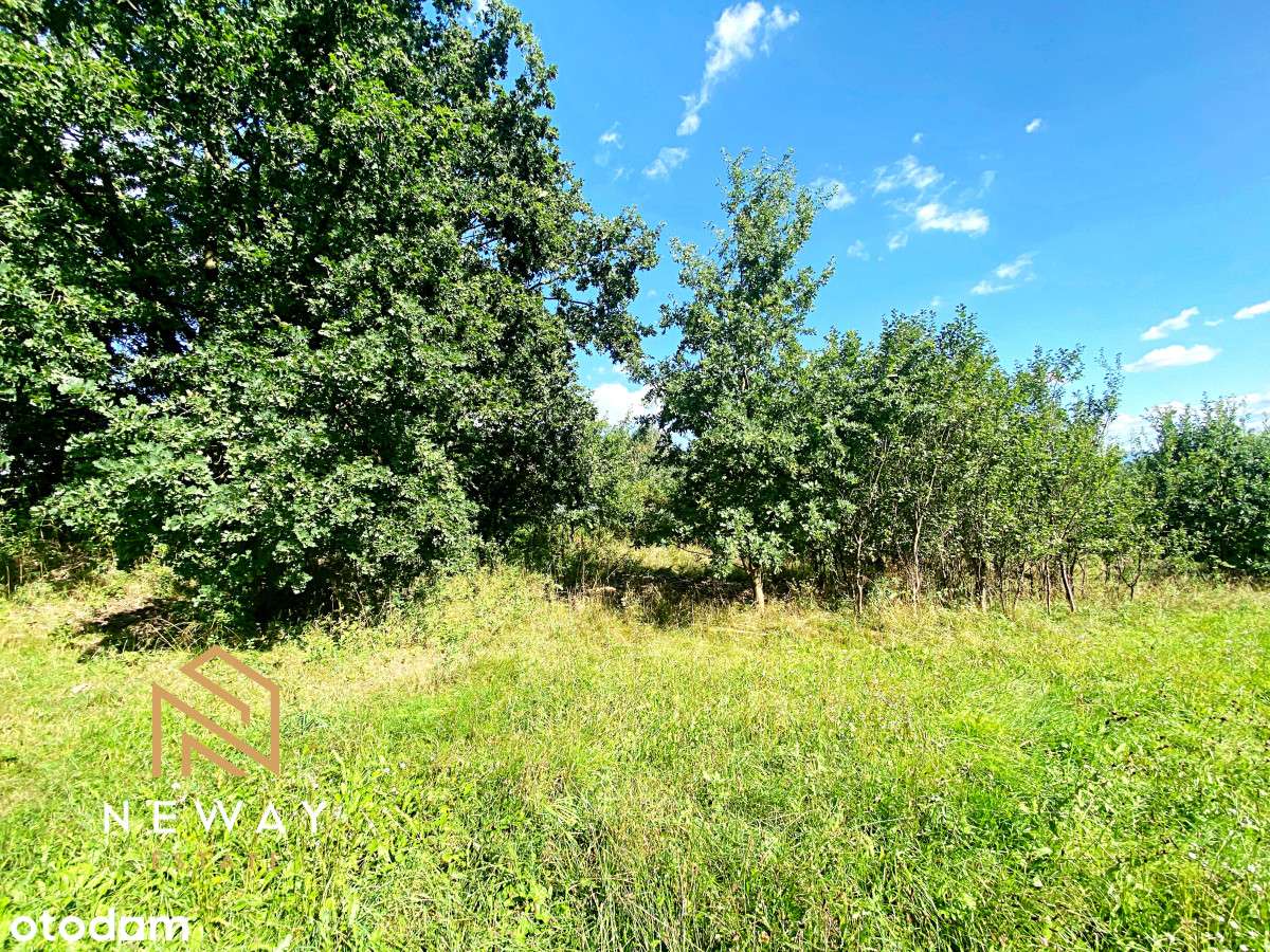 Duża ładna działka rolna z  z częścią budowlaną. - Pełny obrazek: 4/12