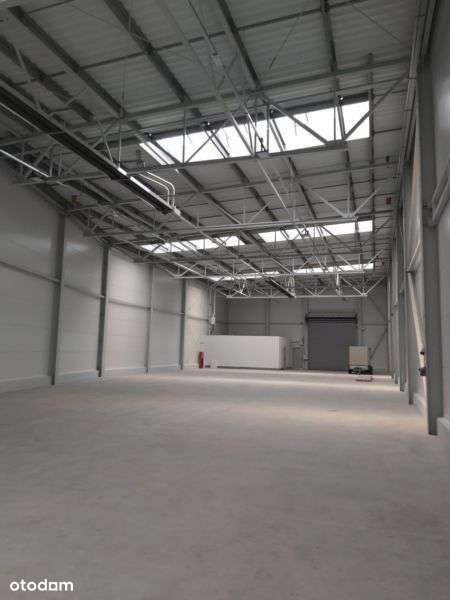 Produkcja , h=8m, brama 0 - Pełny obrazek: 3/8