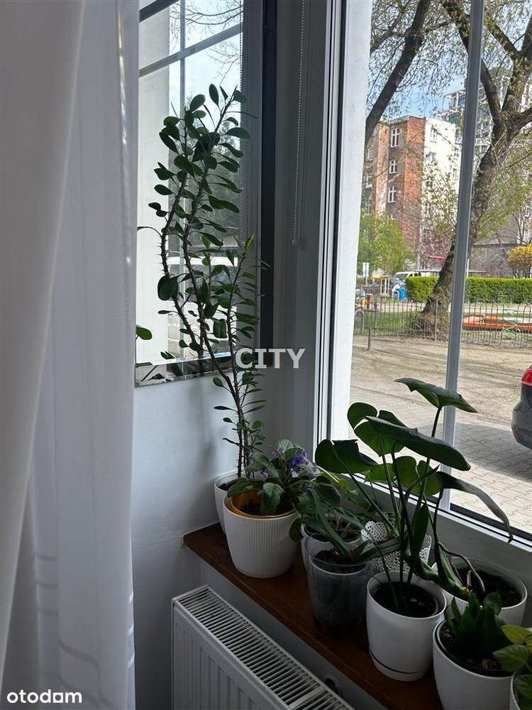 3 pokoje, ul. Łukasińskiego, parter - Widok 4