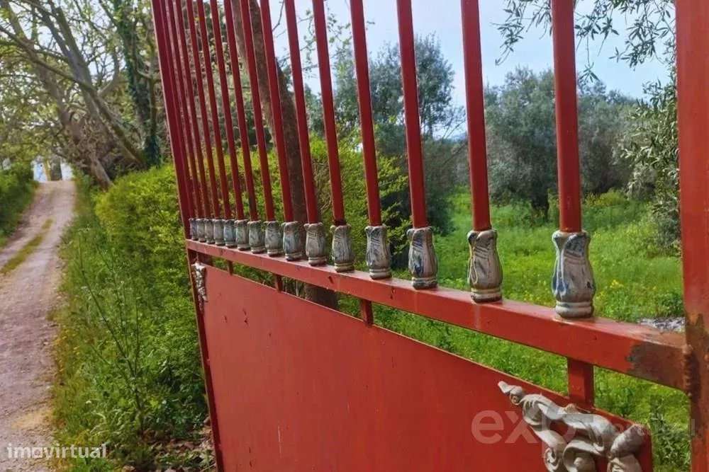 Quinta com Palacete Séc. XX - Grande imagem: 2/60