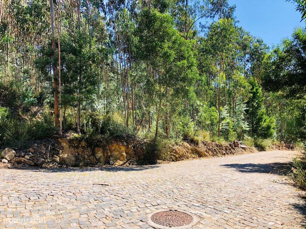 Terreno  para venda - Grande imagem: 4/6