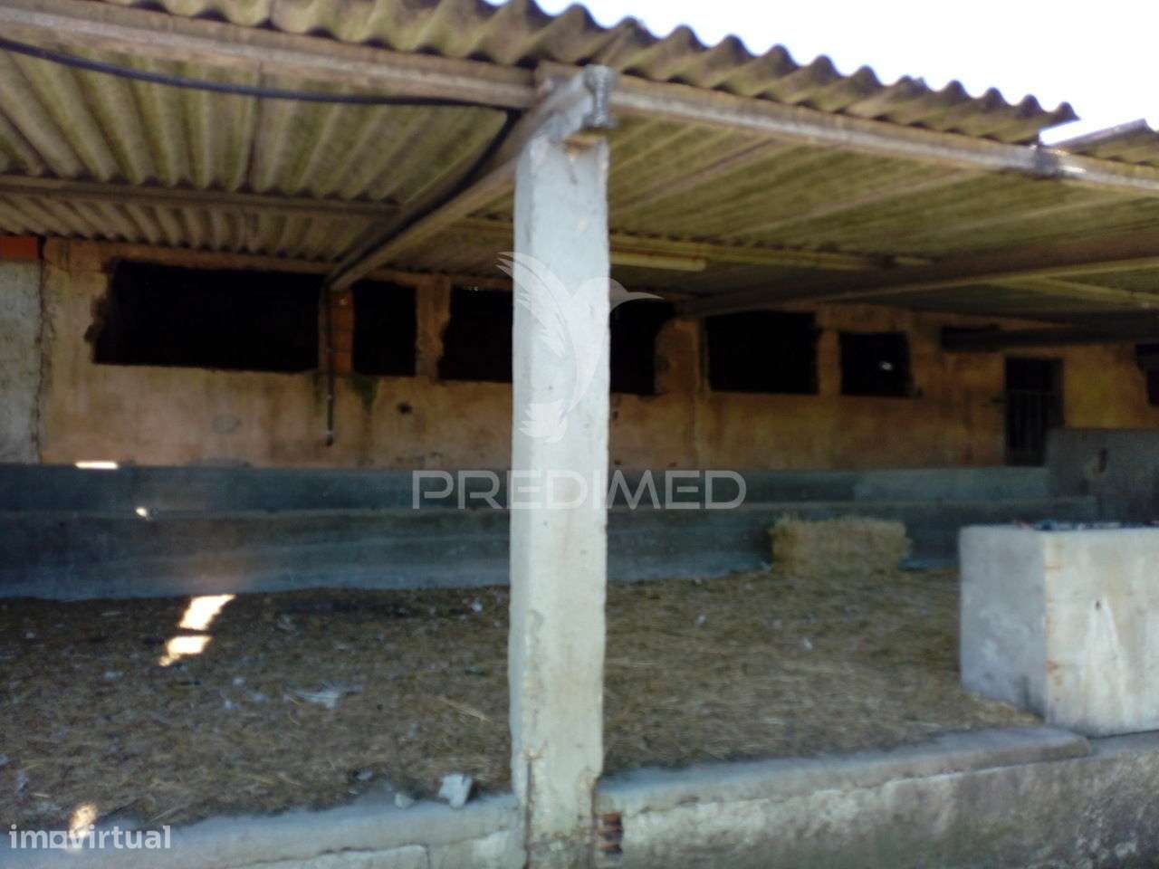 Quinta agrícola - Grande imagem: 4/23