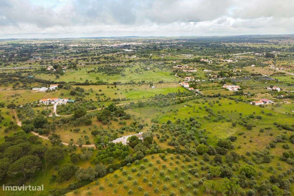 Quinta T8 para venda-25