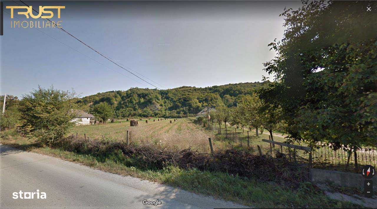 Teren intravilan Malut acces direct din DJ 172 F - Imagine principală: 1/13