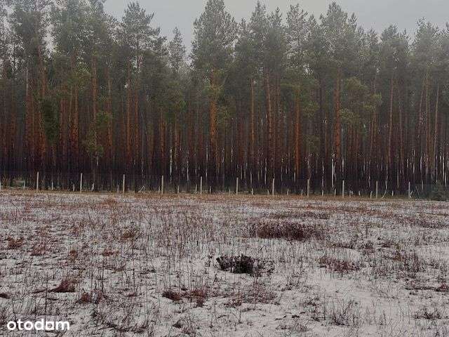 Murzynowo Leśne działka budowlana przy lesie-1