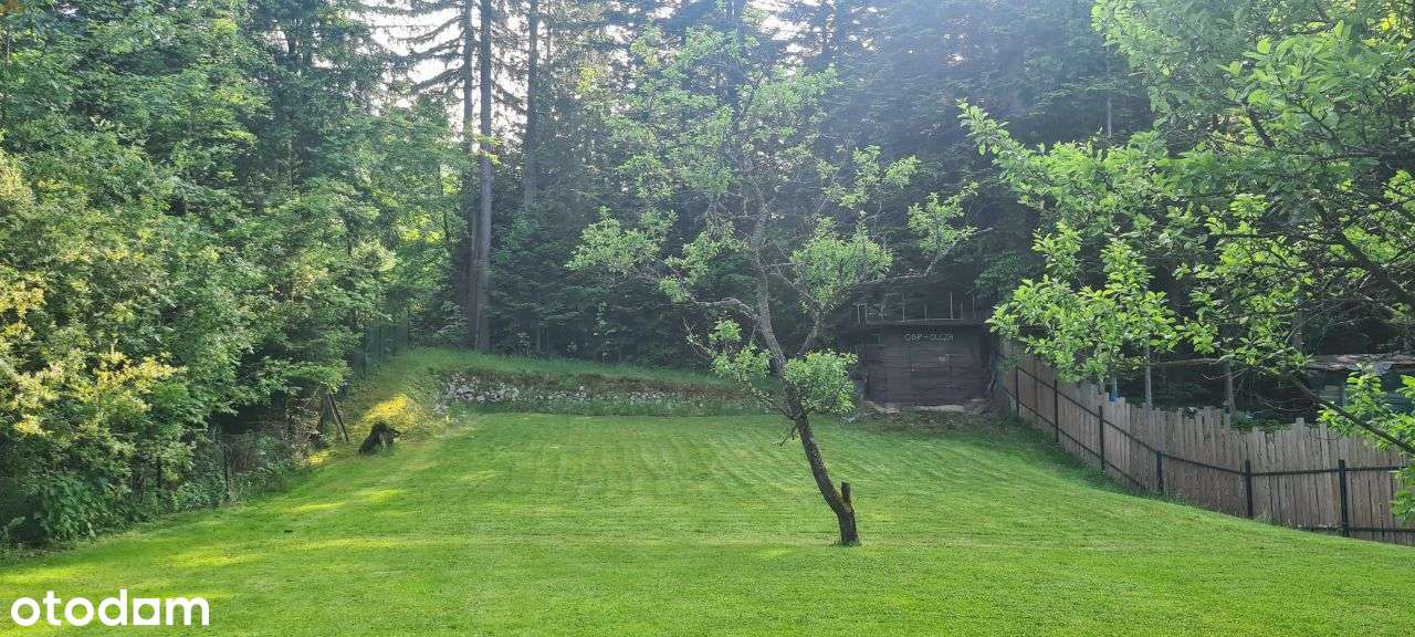Działka przy dolinie Strążyskiej w Zakopanem-8