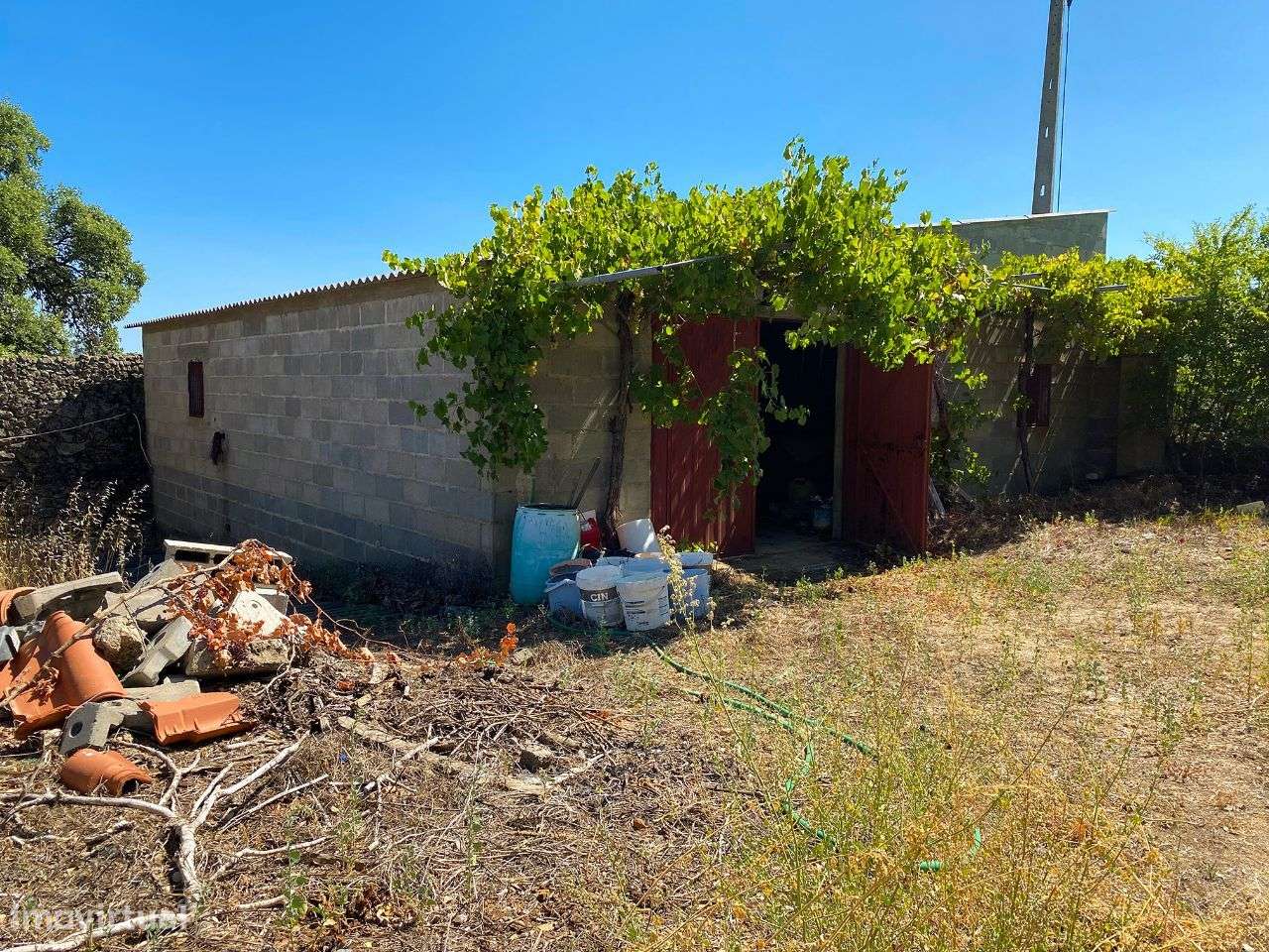 Quinta - Grande imagem: 5/15