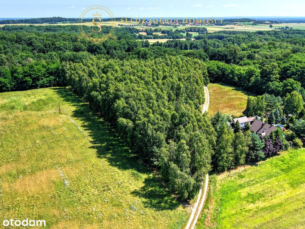 1,2 ha Działka Budowlana 45 min od Wrocławia + Las-10