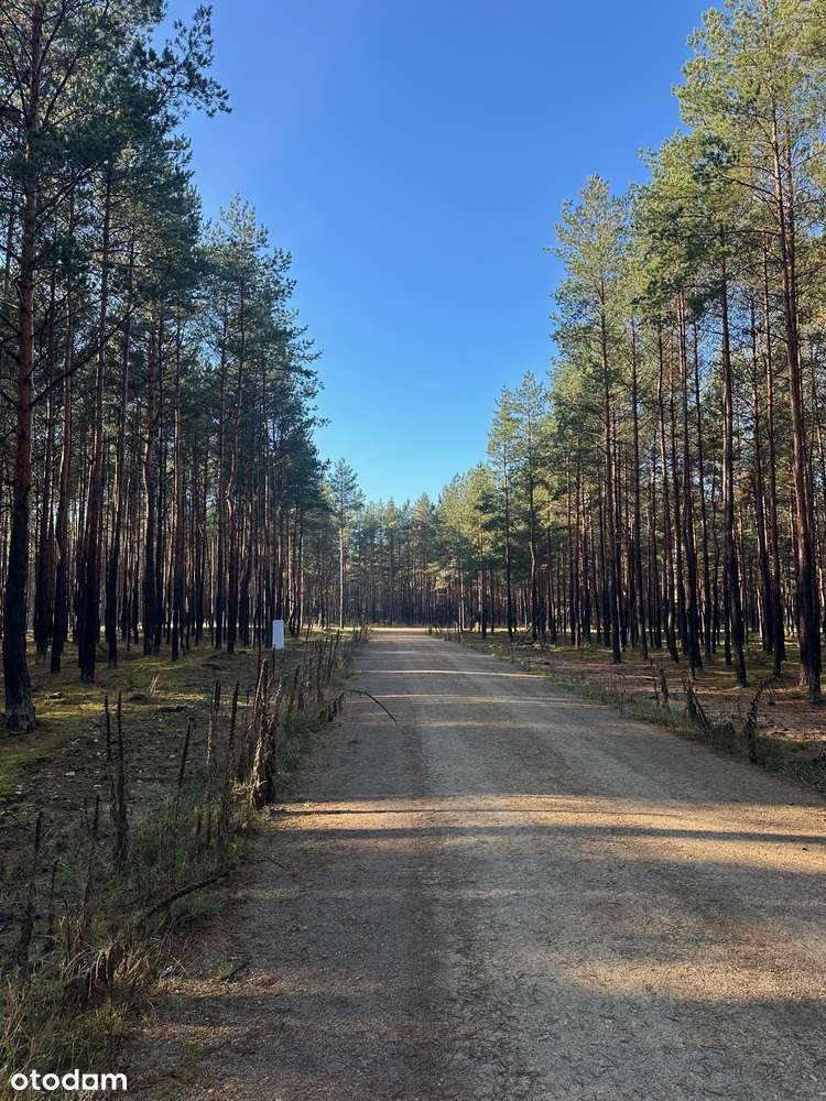 Działka budowlana Olsztyn-3