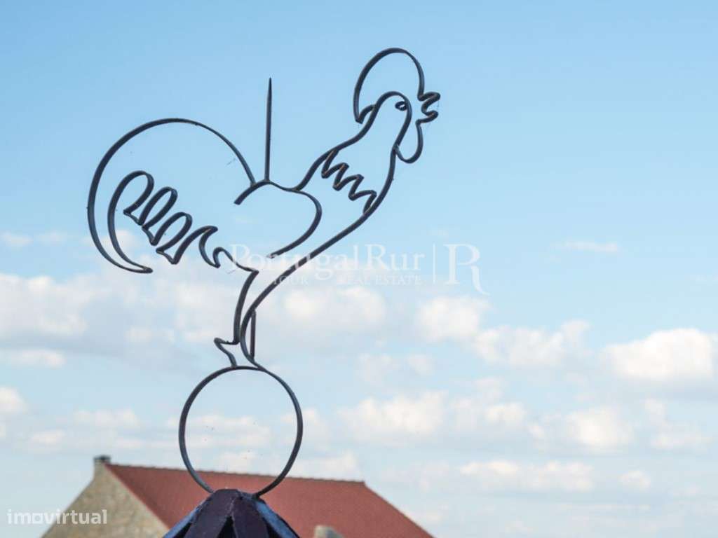 Quinta vocacionada para turismo rural com cinco moradias - Grande imagem: 2/37