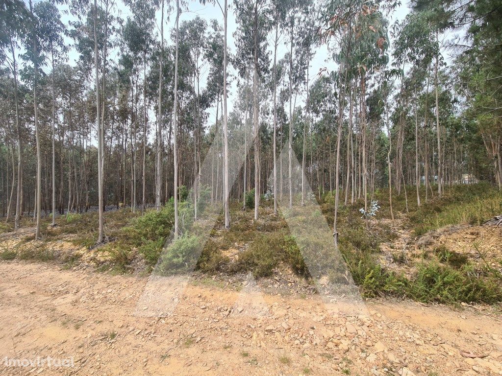 Terreno Industrial em Pinheiro da Bemposta