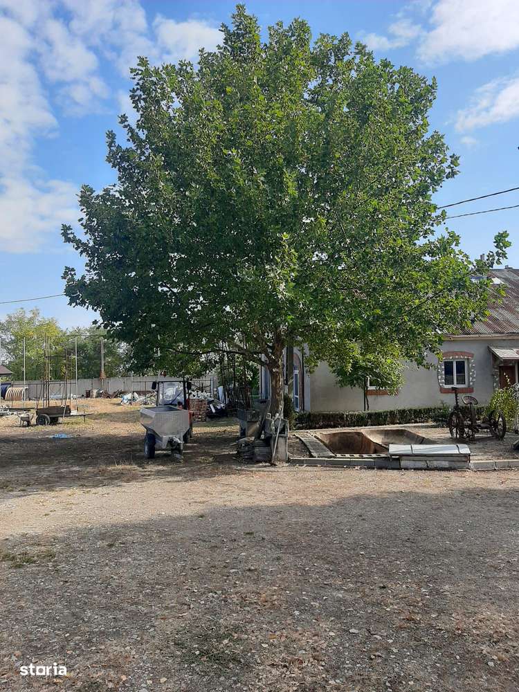 Afacere viticolă la cheie–cramă,linie îmbuteliere zonă viticolă de top - Imagine principală: 3/18