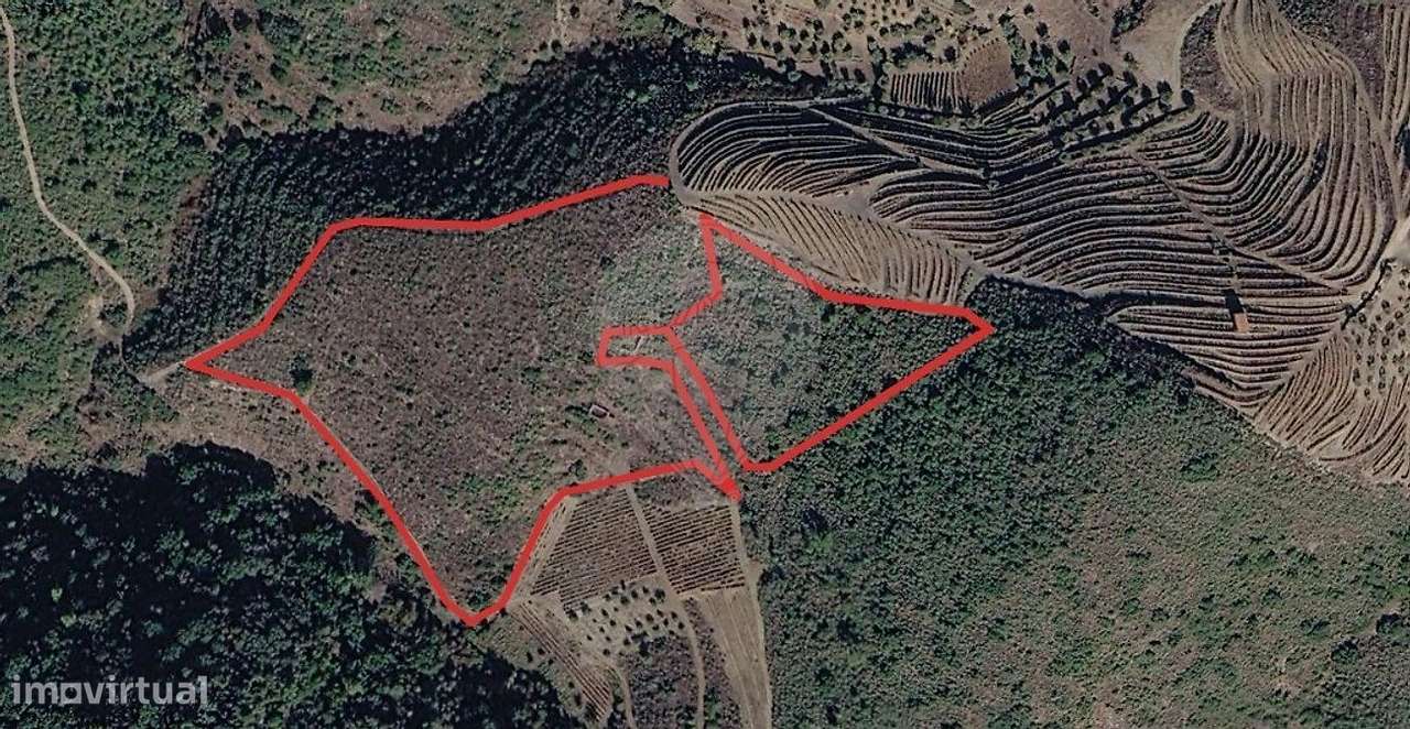 Terreno  para venda-0