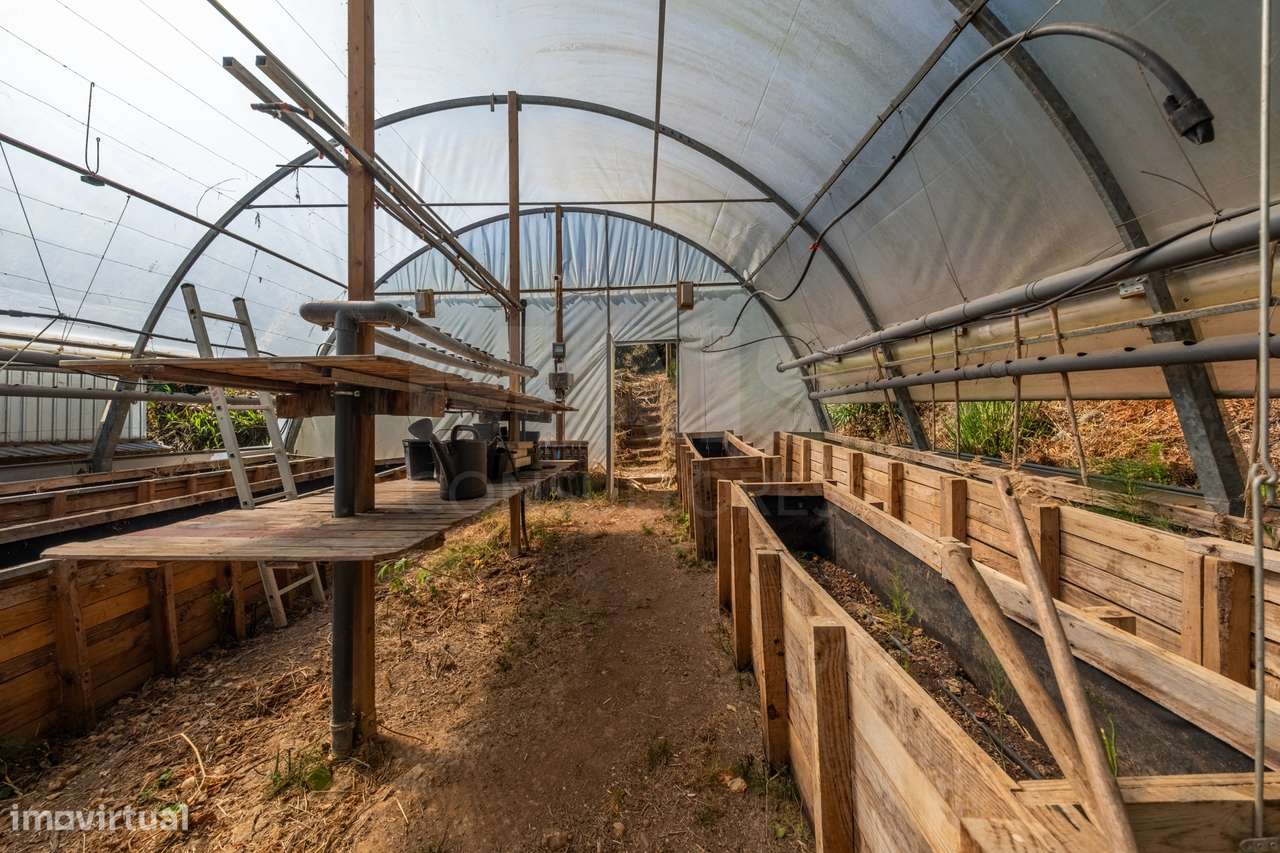 Terreno Agrícola na Fanadia | 16.100 m² de Potencial e Infraestrutu...-8