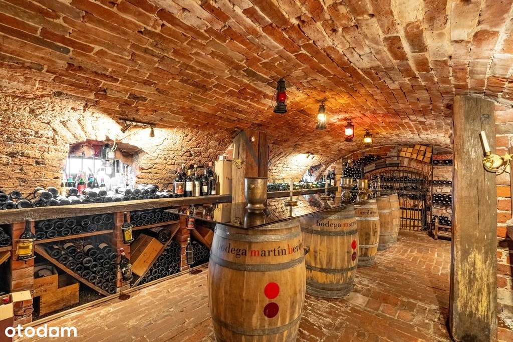 Zabytkowy Dwór w Pobliżu Warszawy - Pełny obrazek: 4/20