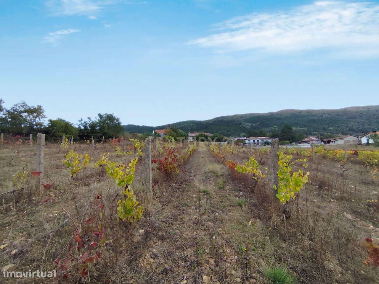 Terreno para construção em Vilar de Nantes - Grande imagem: 4/12