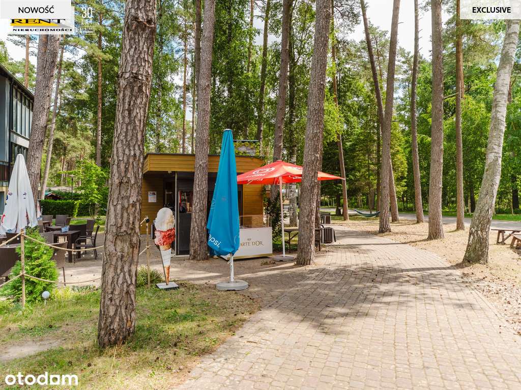 Apartament w środku nadmorskiego lasu-13