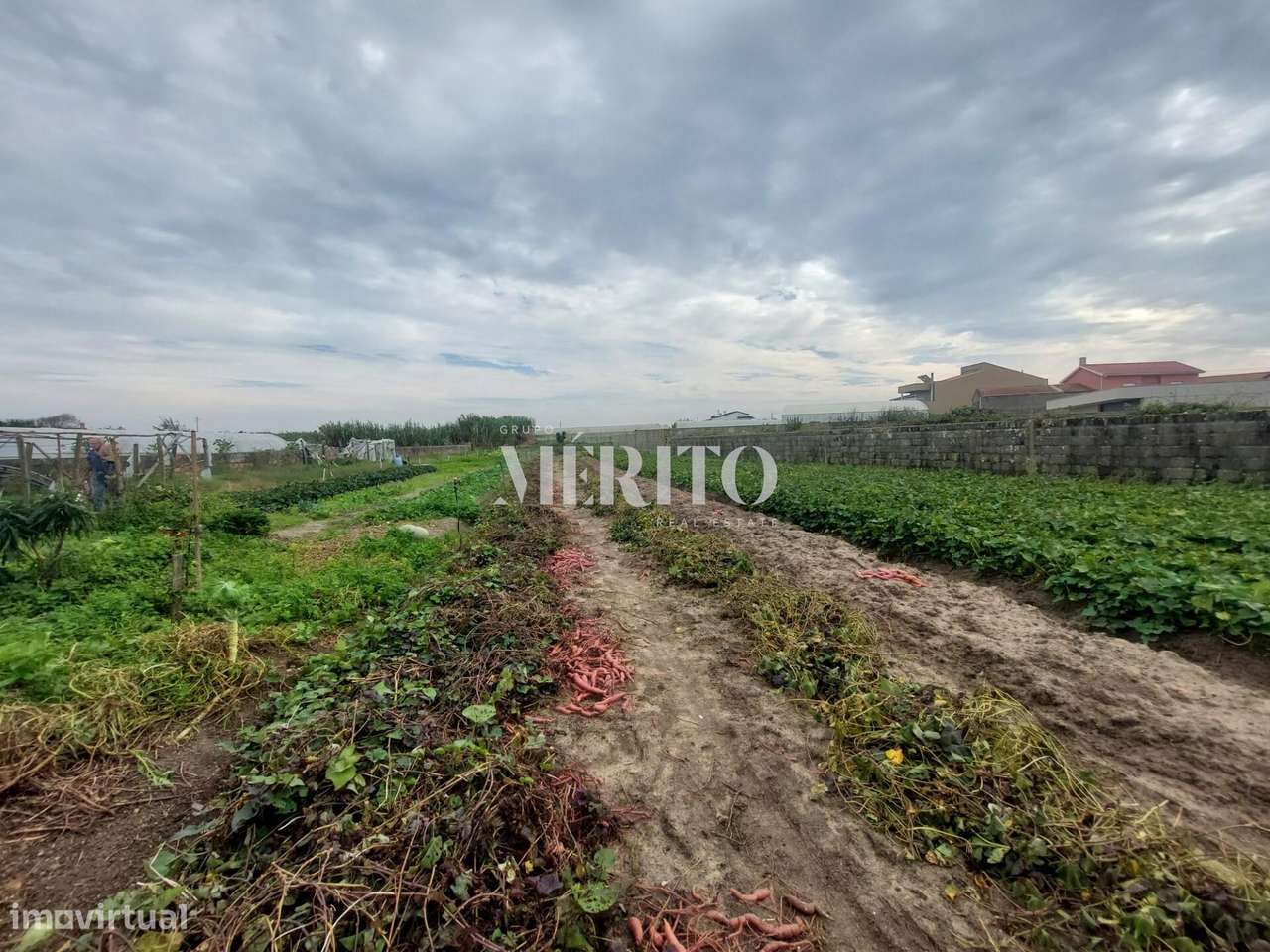 Moradia para Restauro na Aguçadoura, Póvoa de Varzim! - Grande imagem: 2/25