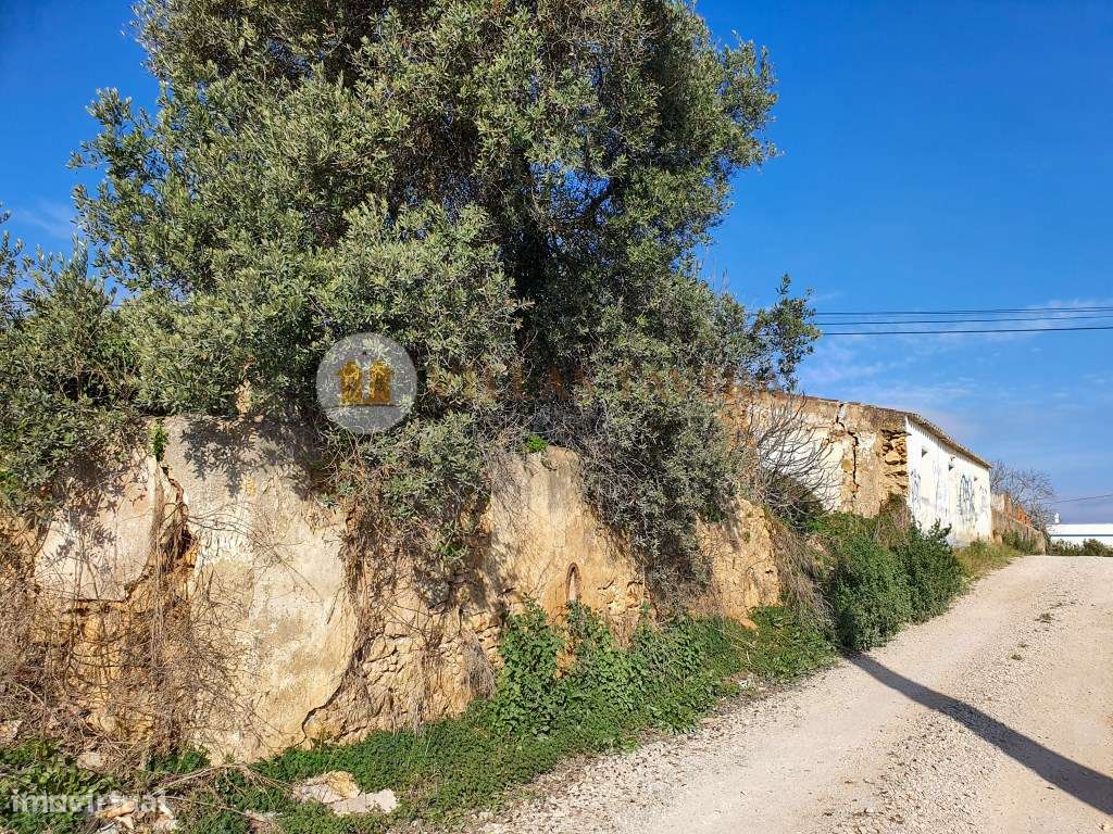 Propriedade - 4 artigos urbanos e um rústico. - Grande imagem: 5/49