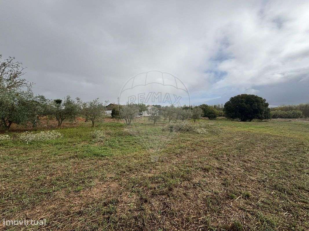 Terreno  para venda - Grande imagem: 5/8