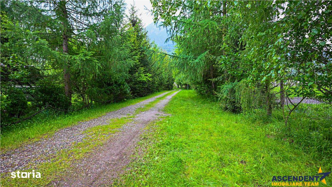 In cartea de povesti a Pietrei Craiului, ansamblu turistic in circuit, - Imagine principală: 5/20