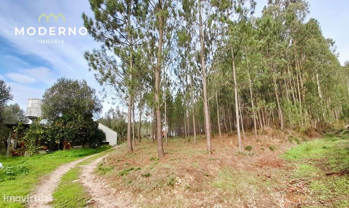 Terreno de Construção – Água Formosa – Ilha - Grande imagem: 5/6