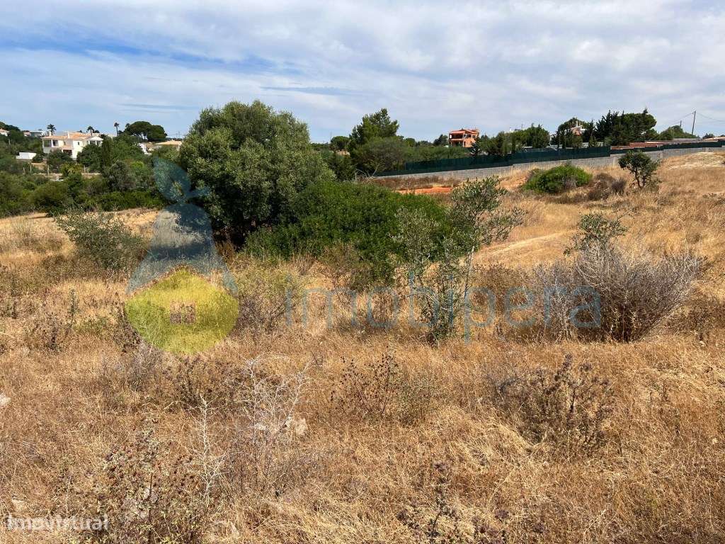 TERRENO AMPLO COM POÇO-BOAS VISTAS E PINHEIROS A 4KM DA PRAIA - Grande imagem: 2/35