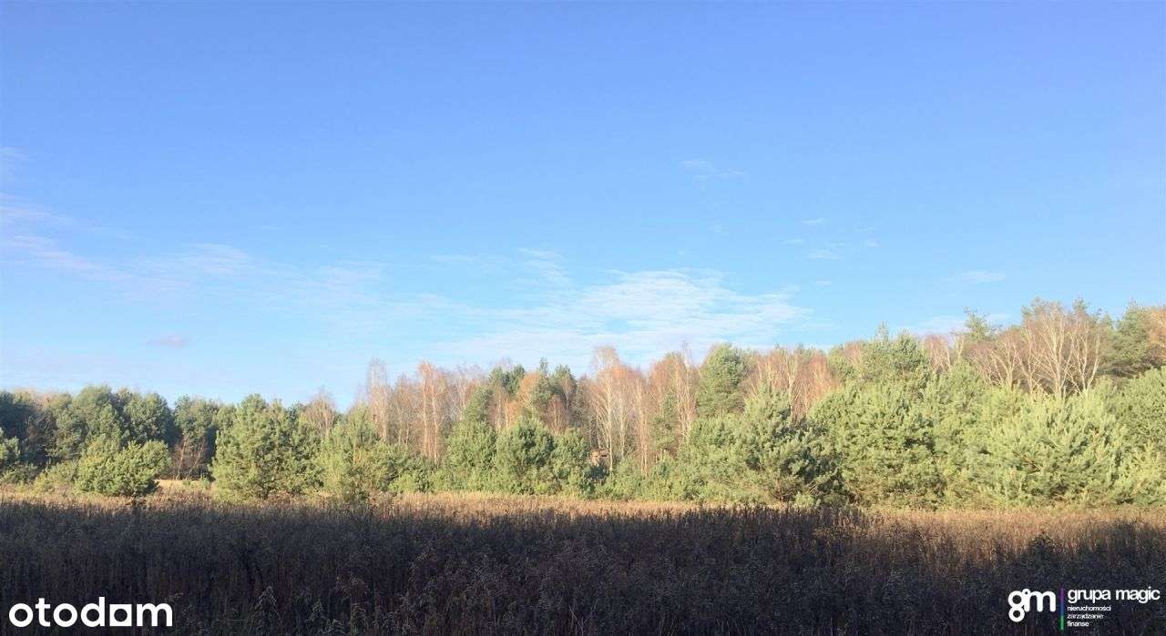 Działka 2,06ha Smogorzewiec - klasoużytki IV - Pełny obrazek: 5/7