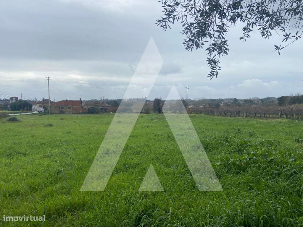 Terreno na Amoreira da Gândara em Anadia-6