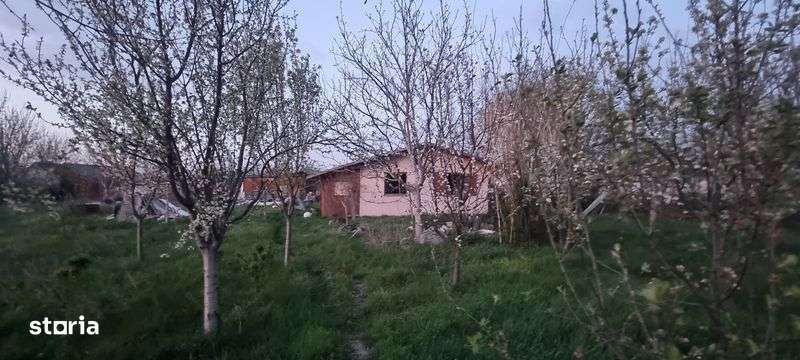 Vând 600 mp teren în loc. Mâsca Jud. Arad - Imagine principală: 4/8