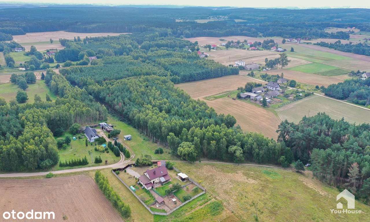 Las w Tereszewie - 1,38 ha - Pełny obrazek: 5/20